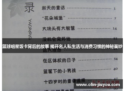 篮球明星饭卡背后的故事 揭开名人私生活与消费习惯的神秘面纱